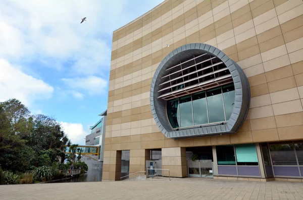 Museu da Nova Zelândia te papa tongarewa — Fotografia de Stock