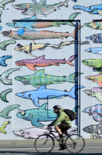 Wellington - New Zealand