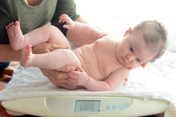 El bebé ha sido examinado en la balanza — Foto de Stock