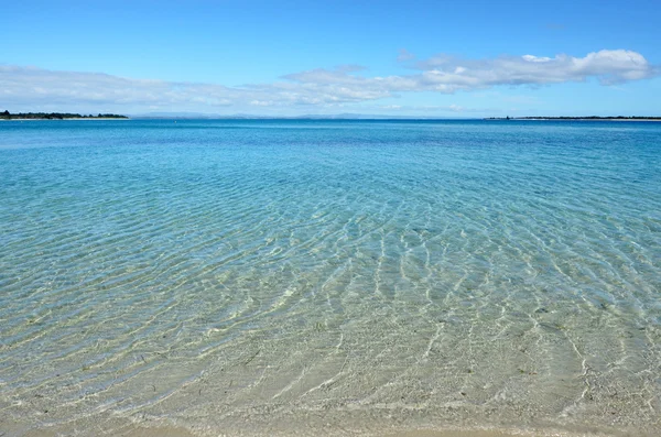 Penisola di Karikari - paesaggio Nuova Zelanda — Foto Stock