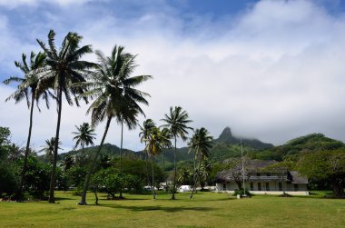 te manga pik rarotonga, cook Adaları