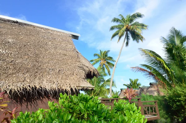 Beach bungalows i aitutaki Cooköarna — Stockfoto