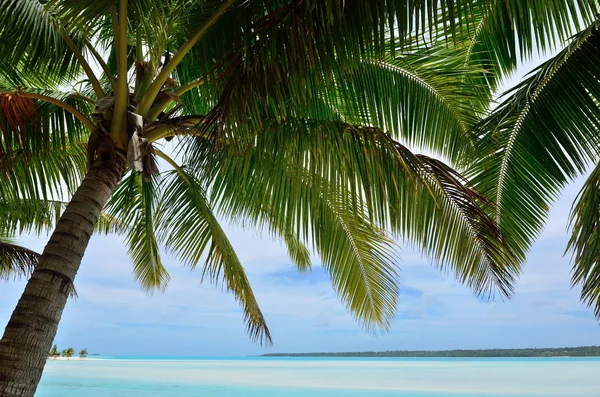 Landschap van aitutaki lagune Cookeilanden — Stockfoto