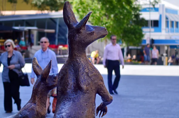 Brisbane Queensland, Ausztrália — Stock Fotó