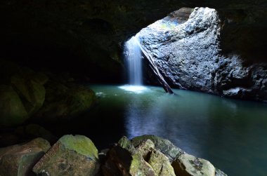 Bahar çayı Milli Parkı - Queensland Avustralya