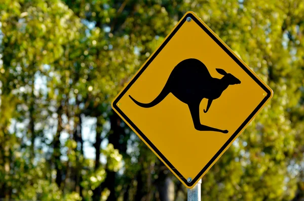 Kangaroo warning sign — Stock Photo, Image