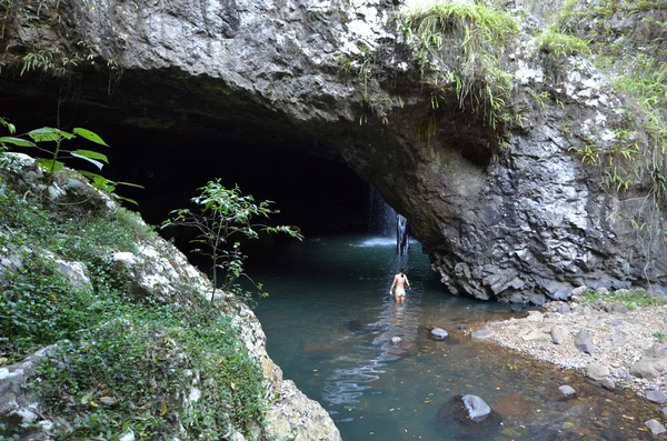 Springbrook nationalpark - queensland australia — Stockfoto