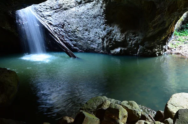 Springbrook National Park - Queensland Austrália — Fotografia de Stock