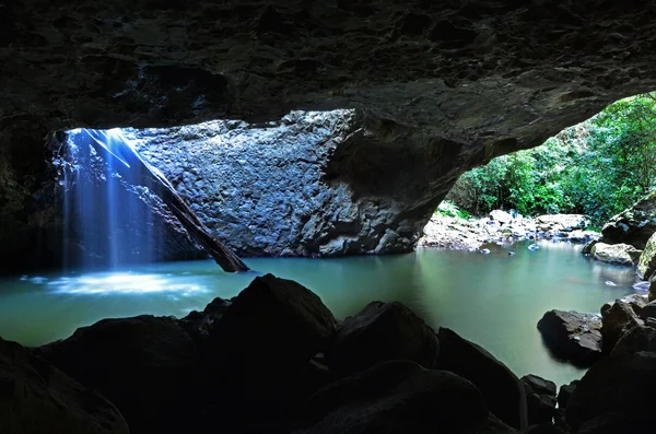 Springbrook National Park - Queensland Austrália — Fotografia de Stock