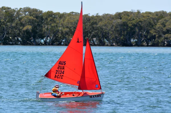 Zeilen in Gold Coast Queensland Australië — Stockfoto