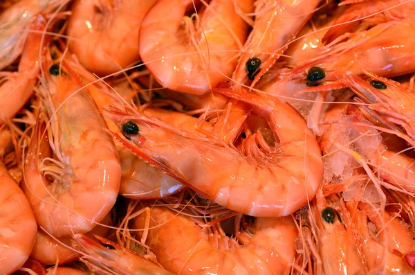 Seafood - Shrimp — Stock Photo, Image