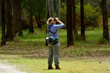 Mature woman birdwatching through binoculars clipart