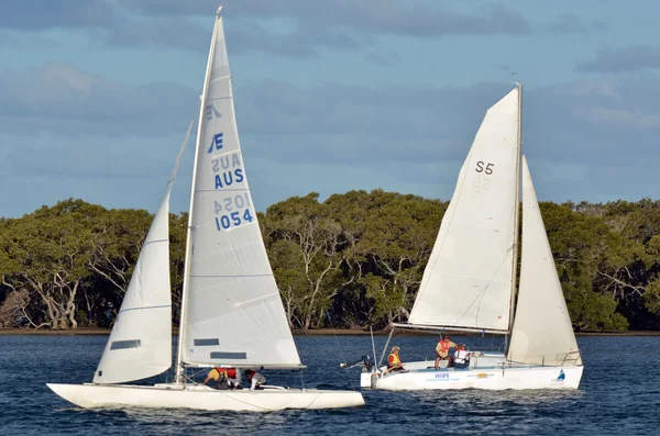 Australian people sail yachts — Stock Photo, Image