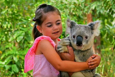 Küçük kız bir Koala holding