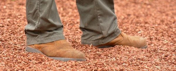 Australian work boot — Stock Photo, Image