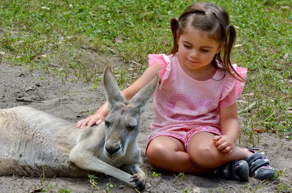 Niña acariciando a un canguro gris oriental — Foto de Stock