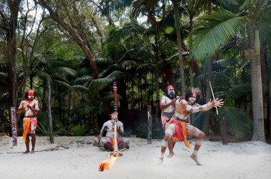 Grup Yugambeh Aborjin warriors Dance