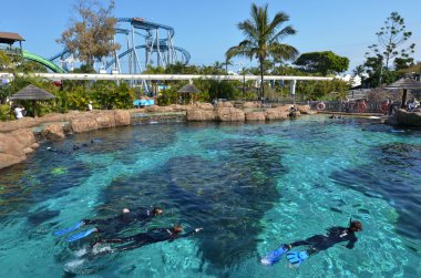 Shark Bay deniz dünya Gold Coast Queensland Avustralya