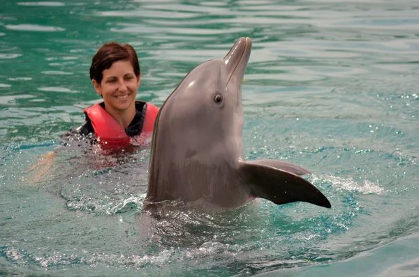 Spettacolo di delfini in Sea World Gold Coast Australia — Foto Stock