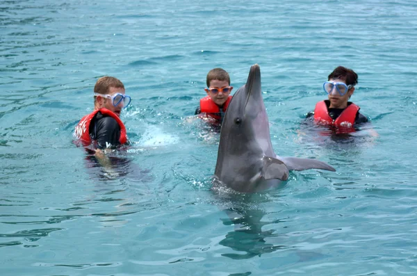 Famiglia interagire con il delfino — Foto Stock