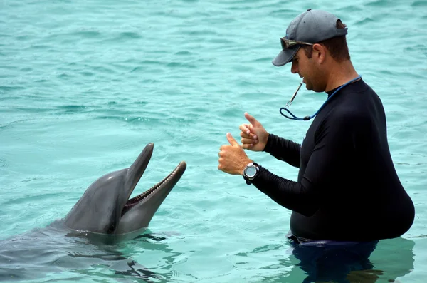 Istruttore interagire con il delfino — Foto Stock