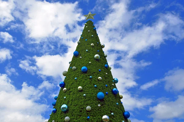 Boże Narodzenie drzewo przeciw błękitne niebo — Zdjęcie stockowe
