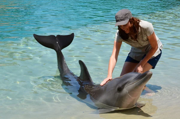 Donna interagire con il delfino — Foto Stock