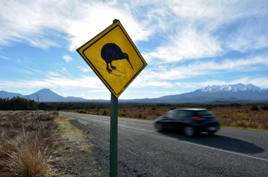 Araba sürücü aracılığıyla Tongariro Ulusal Parkı