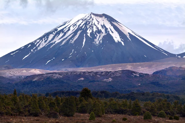 Parque Nacional Tongariro - Monte Ngauruhoe — Foto de Stock