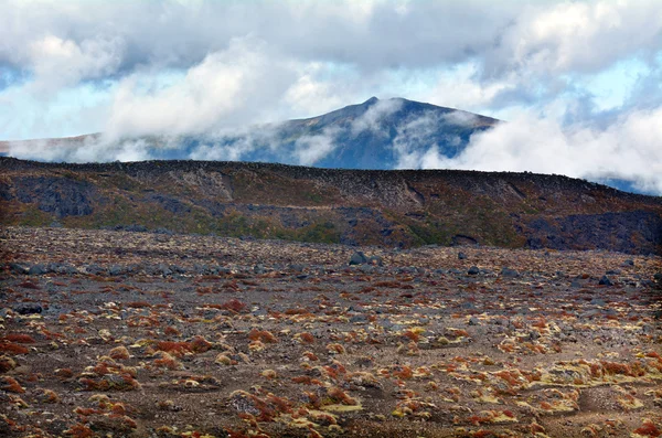 Tongariro National Park — Stock Photo, Image