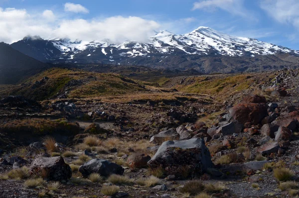 Parque Nacional Tongariro - Monte Ruapehu — Fotografia de Stock
