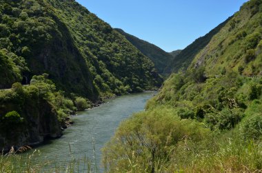 Manawatu Gorge Manawatu nehir akar peyzaj