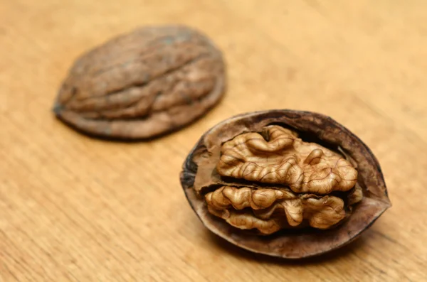 Juglans regia nogal —  Fotos de Stock