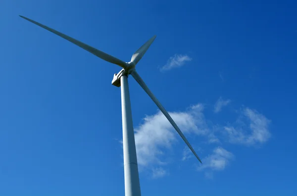 Te Apiti Wind Farm em Palmerston Norte — Fotografia de Stock