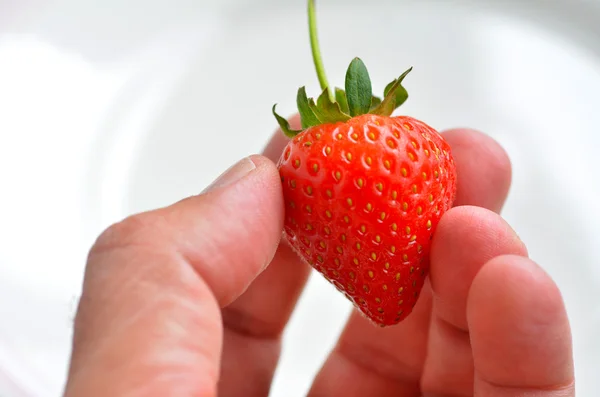 Mann hält eine Erdbeere in der Hand — Stockfoto