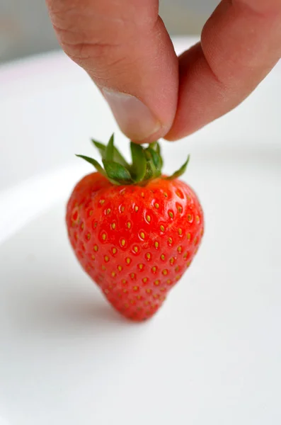 Man hand holds one Strawberry — Stock Photo, Image