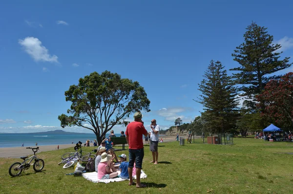 Braun bay auckland neuseeland — Stockfoto