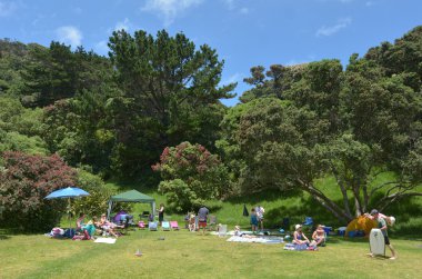 Muriwai beach - Yeni Zelanda