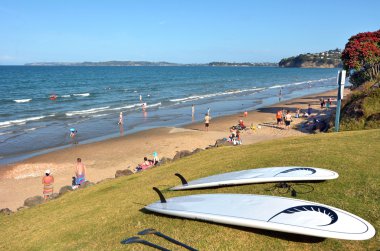 Red Beach Auckland, Yeni Zelanda