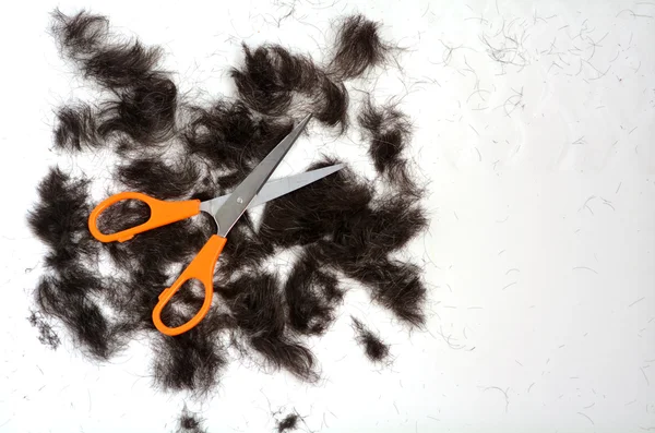 Trimmed hair — Stock Photo, Image