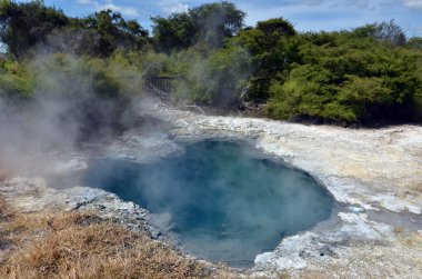 Kuirau Park Rotorua - Yeni Zelanda