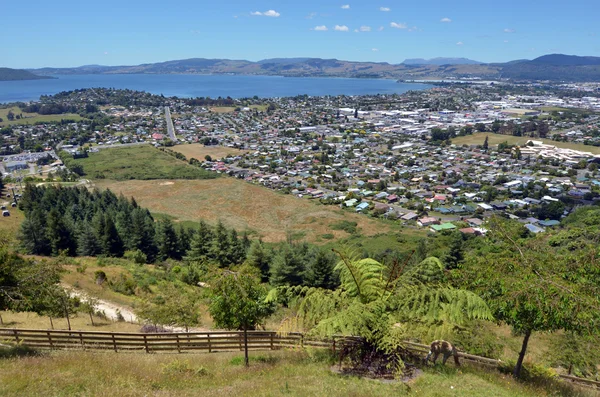 Letecký pohled na města Rotorua, Nový Zéland. — Stock fotografie