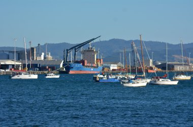 Port of Tauranga in New Zealand clipart