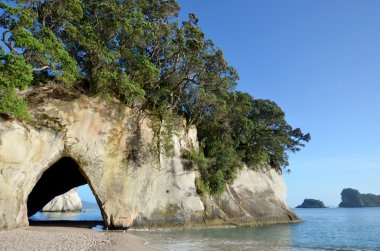 Te Whanganui-A-Hei (katedral Cove) Marine Reserve