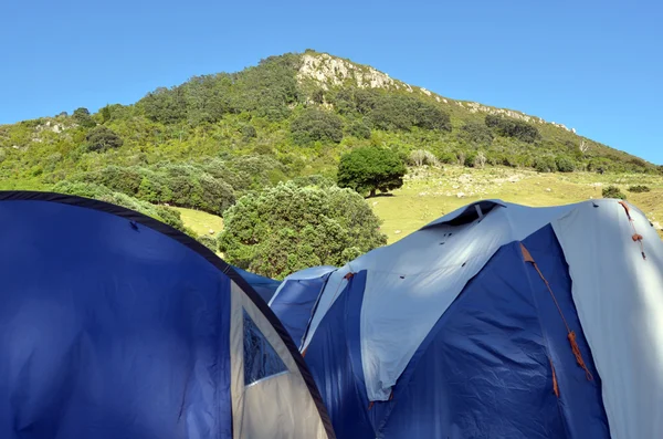 Camping tents under Mount Maunganui — Stock Photo, Image