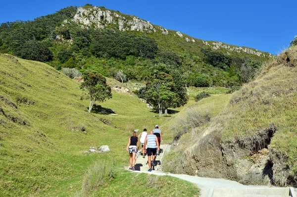 Návštěvníci výšlap na vrchol Mount Maunganui — Stock fotografie