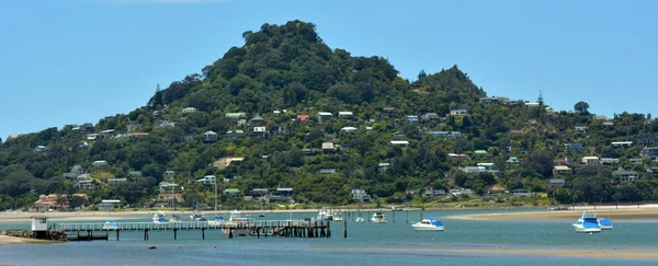 在 Tairua 科罗曼德半岛山朴 — 图库照片