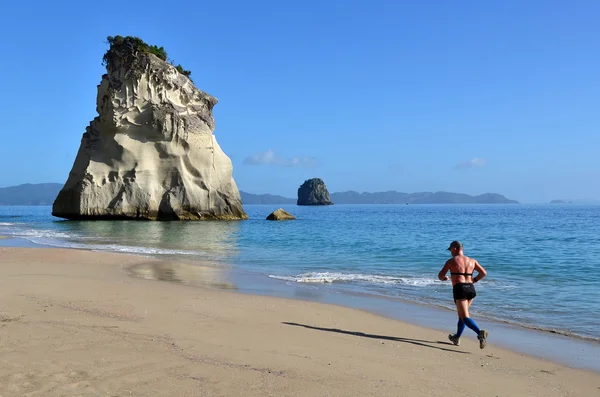 Te Whanganui-A-Hei marint reservat — Stockfoto