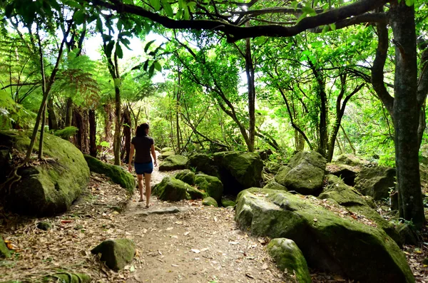 Visitante caminha em uma floresta selvagem da natureza — Fotografia de Stock