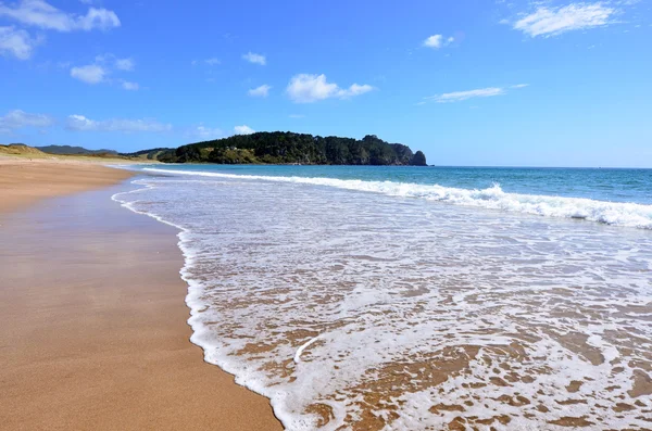 Warmwasser bech - Neuseeland — Stockfoto